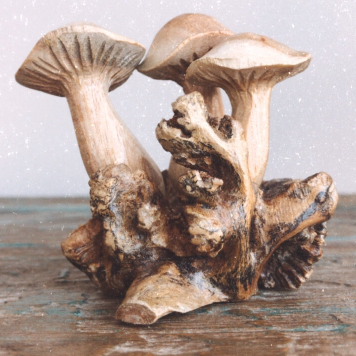 Carved Wooden Mushrooms - Design 2 – EthicalRoots